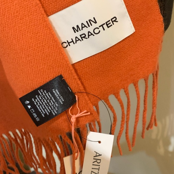 Aritzia Scarf - Picture 3 of 3